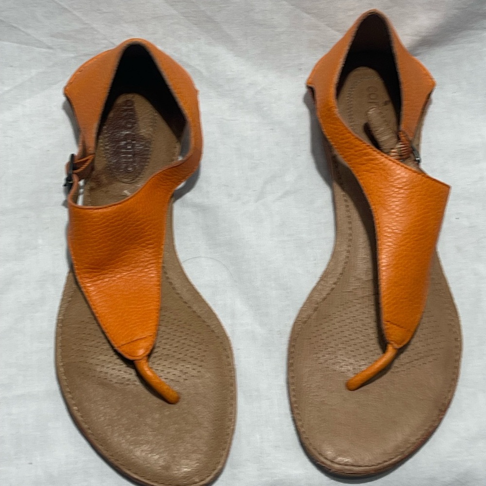 CC Corso Como collection